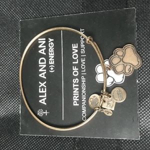 Alex And Ani charm bracelet